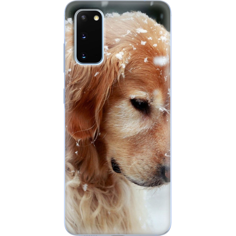 Чехол BoxFace Samsung G980 Galaxy S20 Golden Retriever