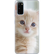 Чехол BoxFace Samsung G980 Galaxy S20 Animation Kittens