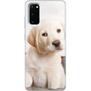 Чехол BoxFace Samsung G980 Galaxy S20 Puppy Labrador