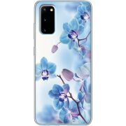 Чехол со стразами Samsung G980 Galaxy S20 Orchids