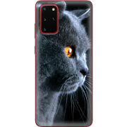 Чехол BoxFace Samsung G985 Galaxy S20 Plus English cat