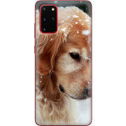 Чехол BoxFace Samsung G985 Galaxy S20 Plus Golden Retriever