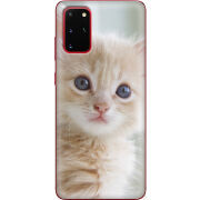 Чехол BoxFace Samsung G985 Galaxy S20 Plus Animation Kittens