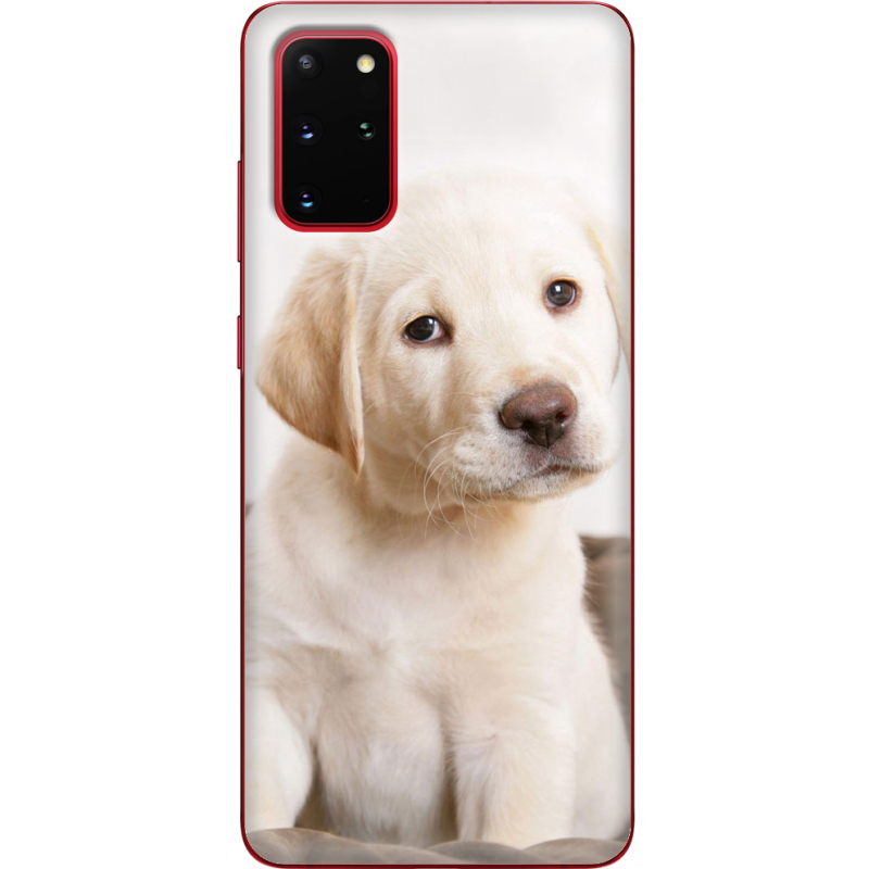 Чехол BoxFace Samsung G985 Galaxy S20 Plus Puppy Labrador