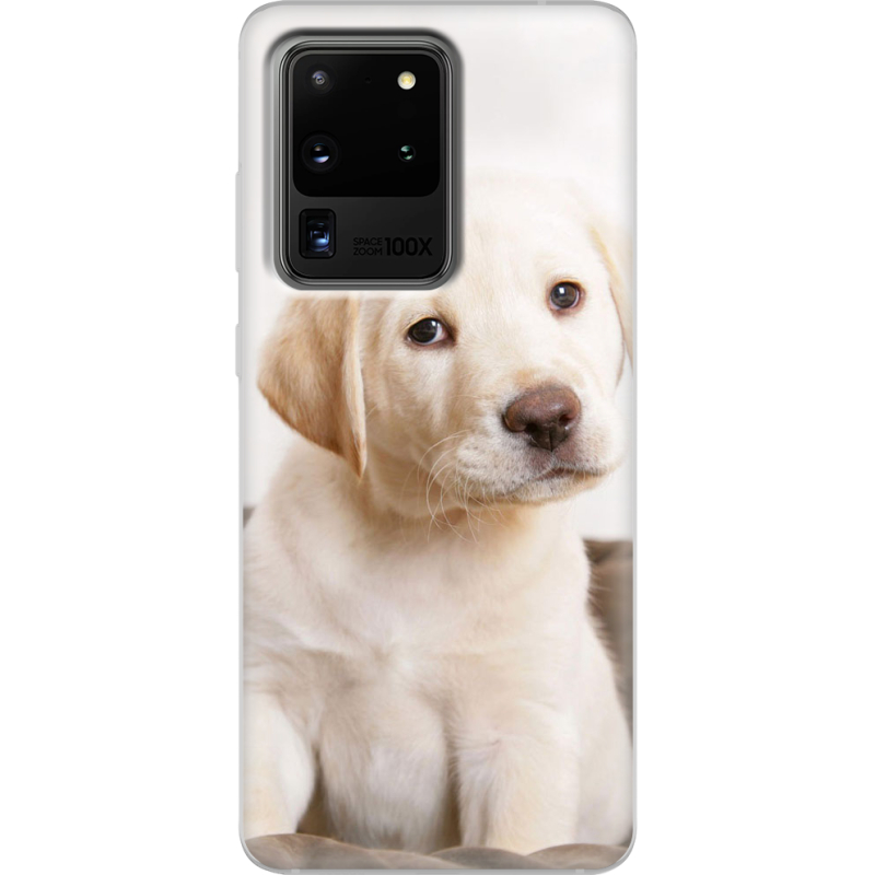 Чехол BoxFace Samsung G988 Galaxy S20 Ultra Puppy Labrador