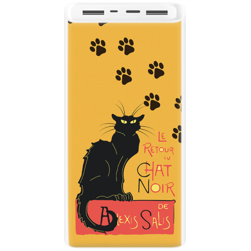 Xiaomi Mi Power Bank 3 20000mAh (PLM18ZM) Белый с принтом Noir Cat