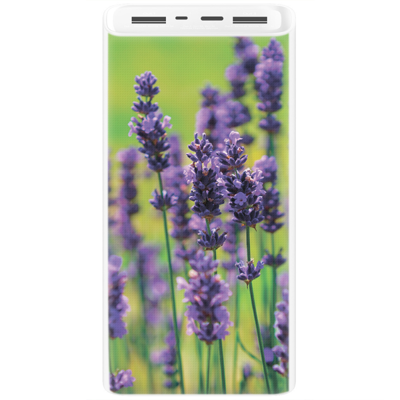 Xiaomi Mi Power Bank 3 20000mAh (PLM18ZM) Белый с принтом Green Lavender