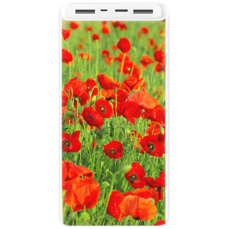 Xiaomi Mi Power Bank 3 20000mAh (PLM18ZM) Белый с принтом 