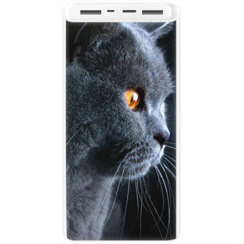 Xiaomi Mi Power Bank 3 20000mAh (PLM18ZM) Белый с принтом English cat