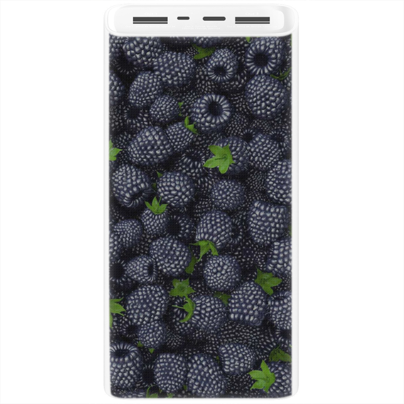 Xiaomi Mi Power Bank 3 20000mAh (PLM18ZM) Белый с принтом 