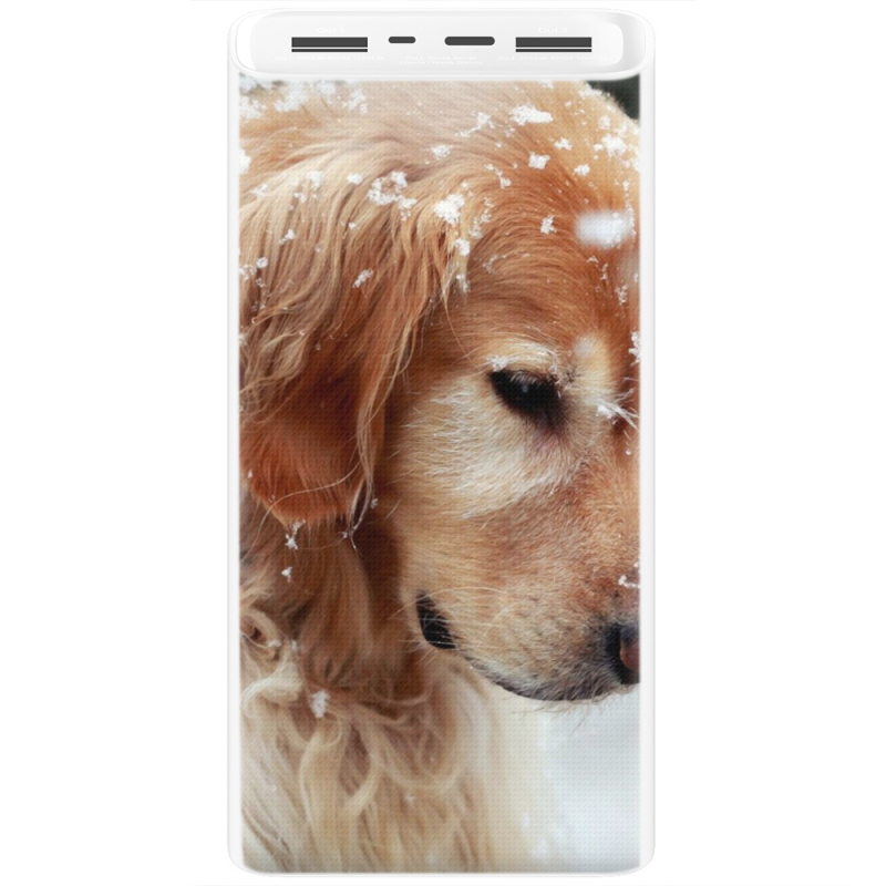 Xiaomi Mi Power Bank 3 20000mAh (PLM18ZM) Белый с принтом Golden Retriever