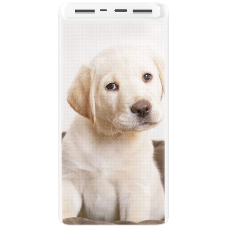 Xiaomi Mi Power Bank 3 20000mAh (PLM18ZM) Белый с принтом Puppy Labrador