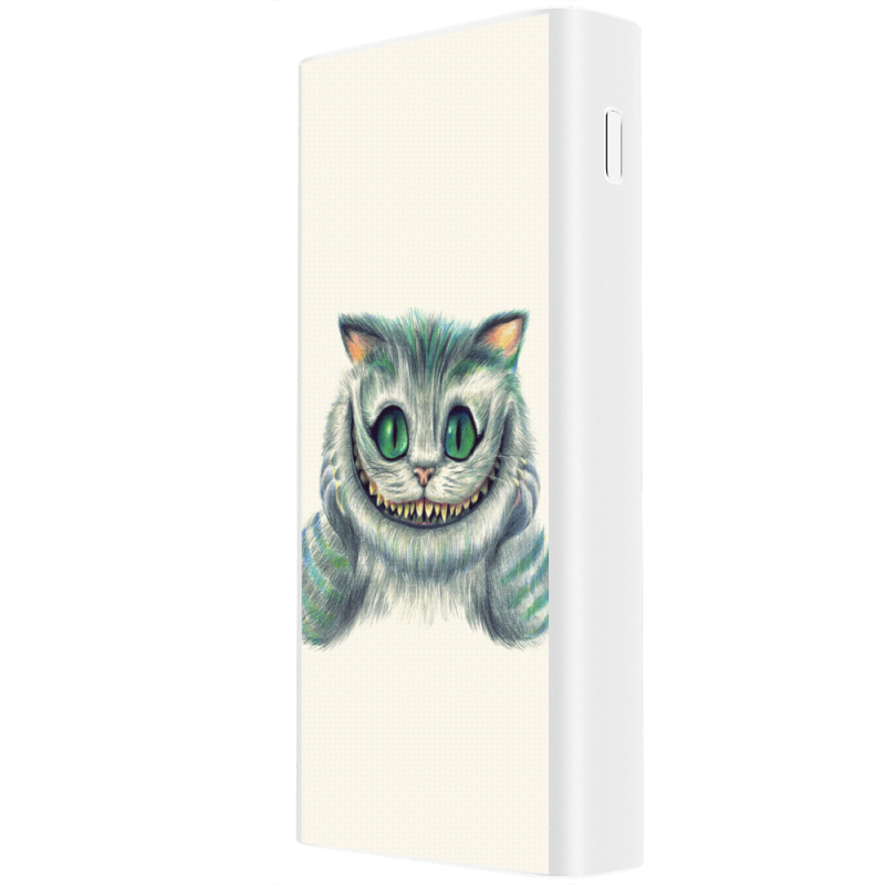 Xiaomi Mi Power Bank 3 20000mAh (PLM18ZM) Белый с принтом 