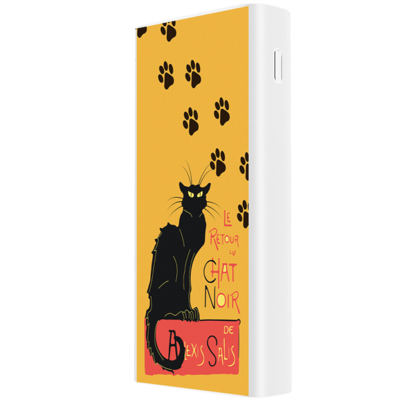 Xiaomi Mi Power Bank 3 20000mAh (PLM18ZM) Белый с принтом Noir Cat