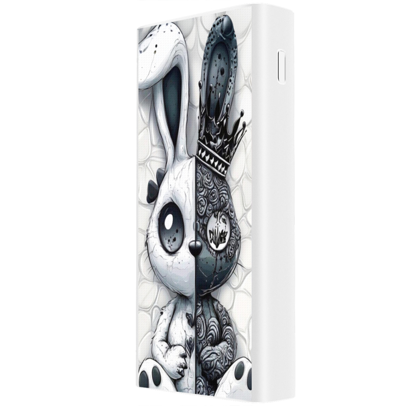 Xiaomi Mi Power Bank 3 20000mAh (PLM18ZM) Белый с принтом 