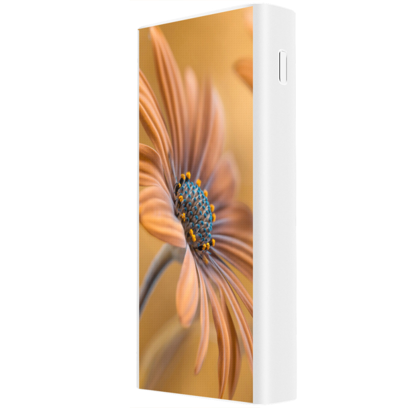 Xiaomi Mi Power Bank 3 20000mAh (PLM18ZM) Белый с принтом 