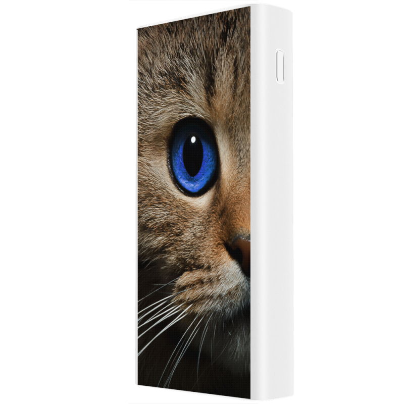 Xiaomi Mi Power Bank 3 20000mAh (PLM18ZM) Белый с принтом Cat's Eye