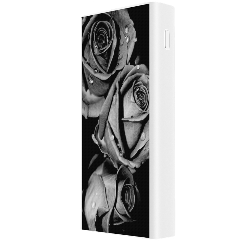 Xiaomi Mi Power Bank 3 20000mAh (PLM18ZM) Белый с принтом Black and White Roses