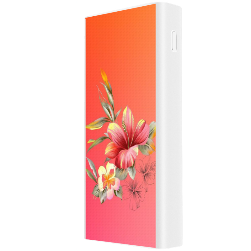 Xiaomi Mi Power Bank 3 20000mAh (PLM18ZM) Белый с принтом 