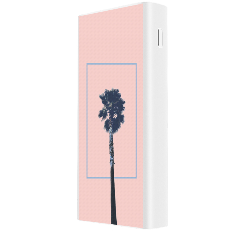 Xiaomi Mi Power Bank 3 20000mAh (PLM18ZM) Белый с принтом 