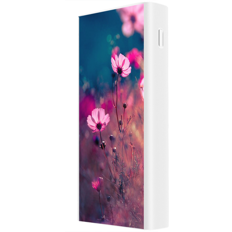 Xiaomi Mi Power Bank 3 20000mAh (PLM18ZM) Белый с принтом 