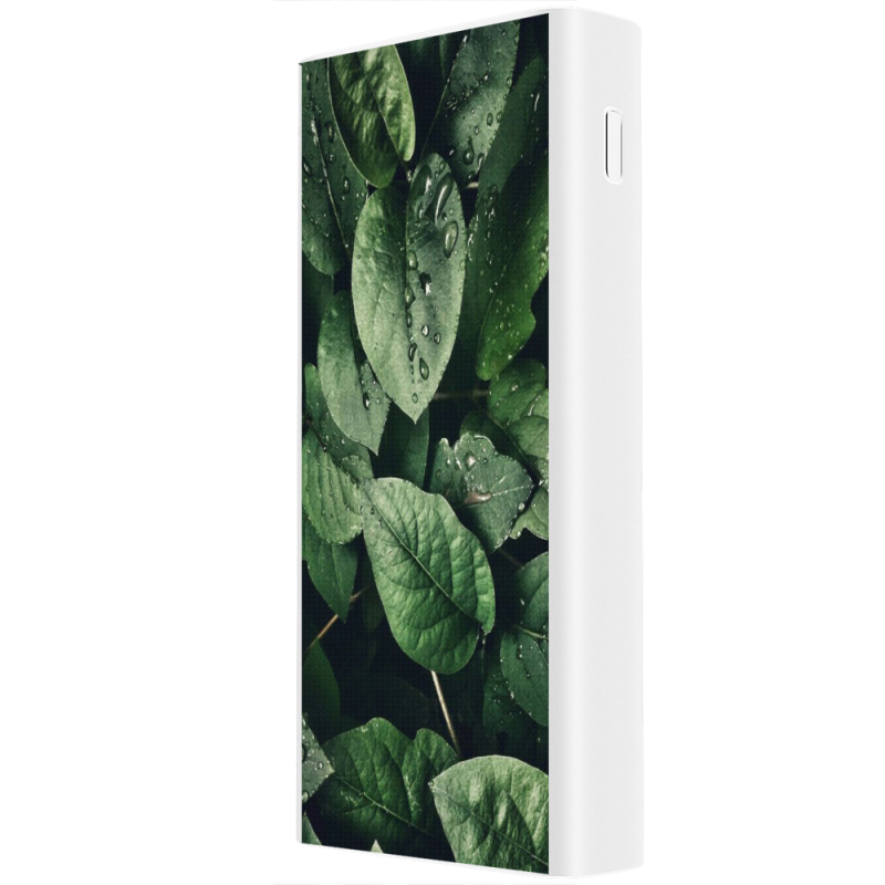 Xiaomi Mi Power Bank 3 20000mAh (PLM18ZM) Белый с принтом 