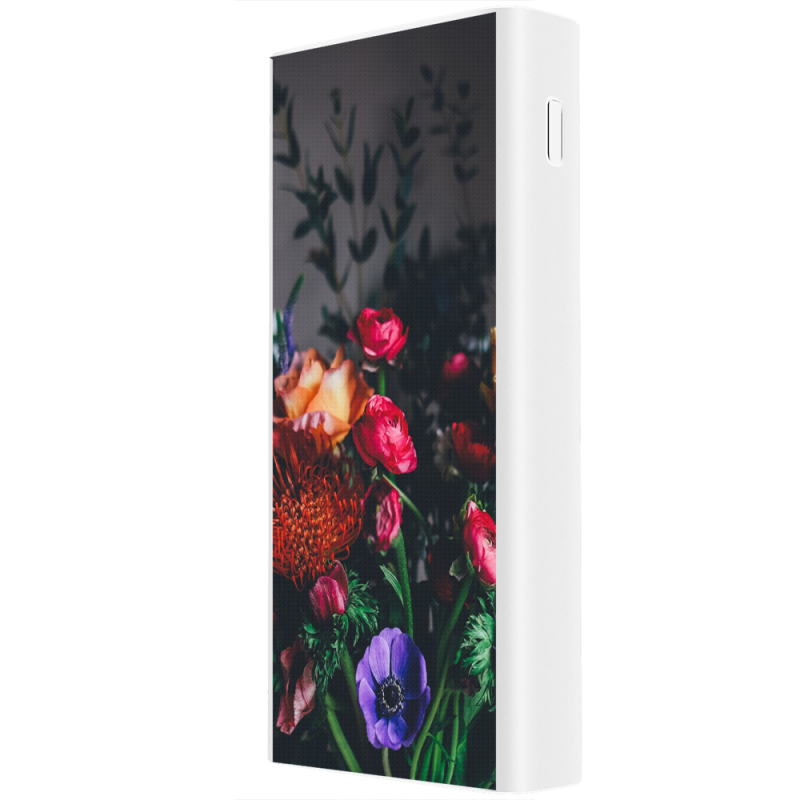 Xiaomi Mi Power Bank 3 20000mAh (PLM18ZM) Белый с принтом 