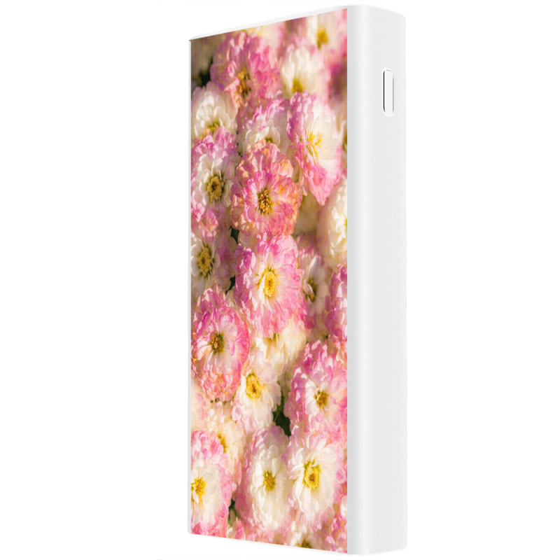 Xiaomi Mi Power Bank 3 20000mAh (PLM18ZM) Белый с принтом 