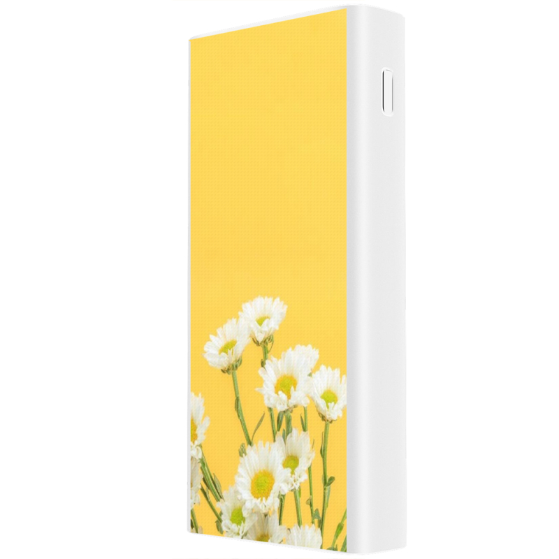 Xiaomi Mi Power Bank 3 20000mAh (PLM18ZM) Белый с принтом 