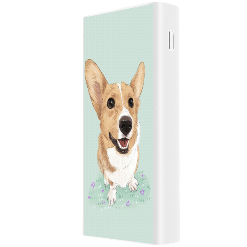 Xiaomi Mi Power Bank 3 20000mAh (PLM18ZM) Белый с принтом 