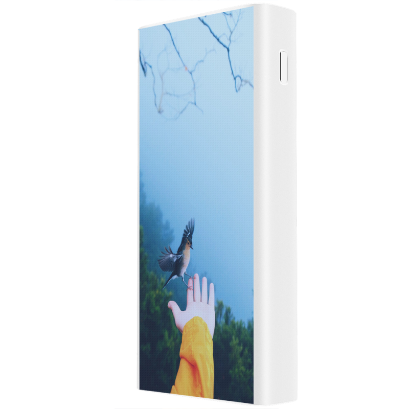 Xiaomi Mi Power Bank 3 20000mAh (PLM18ZM) Белый с принтом 