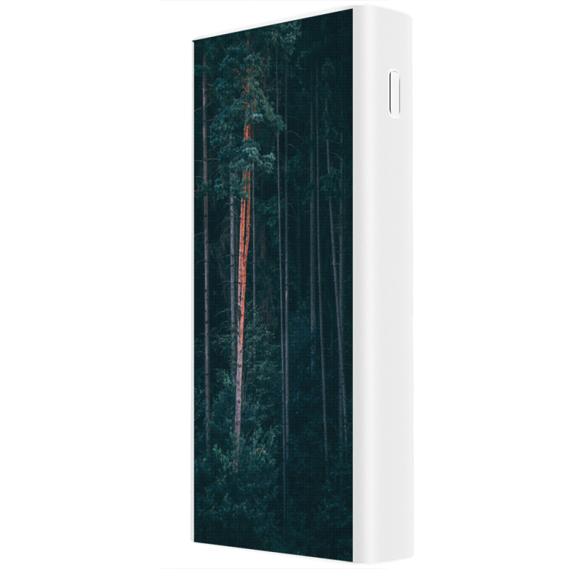 Xiaomi Mi Power Bank 3 20000mAh (PLM18ZM) Белый с принтом 