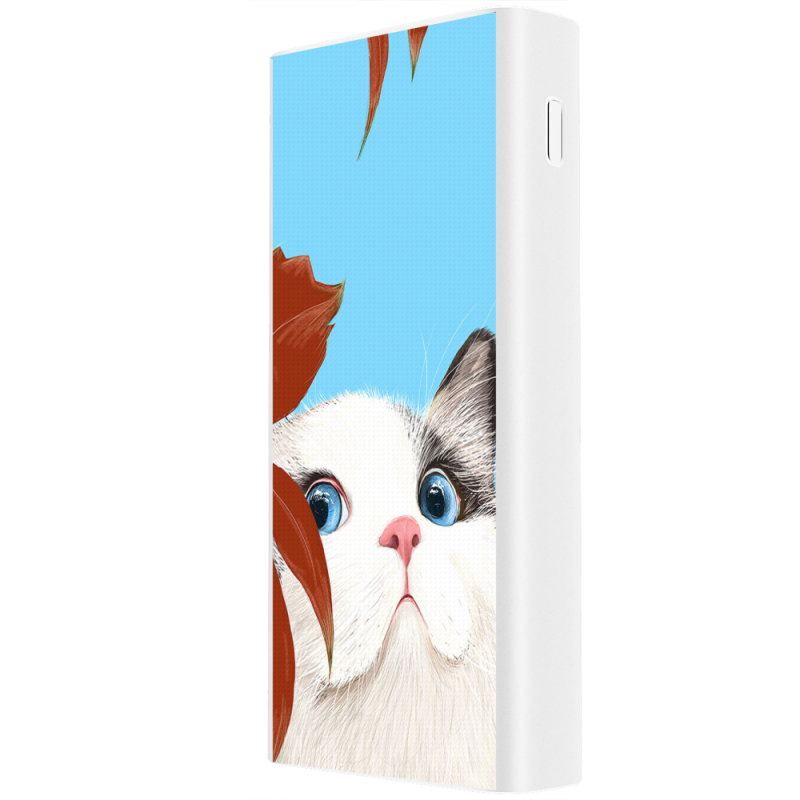 Xiaomi Mi Power Bank 3 20000mAh (PLM18ZM) Белый с принтом Wondering Cat