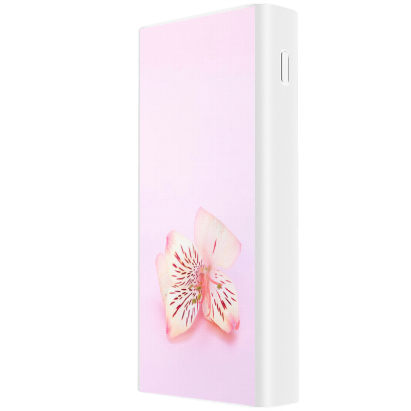 Xiaomi Mi Power Bank 3 20000mAh (PLM18ZM) Белый с принтом 