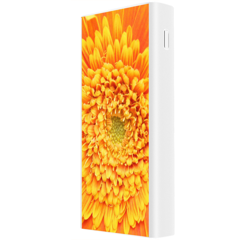 Xiaomi Mi Power Bank 3 20000mAh (PLM18ZM) Белый с принтом 