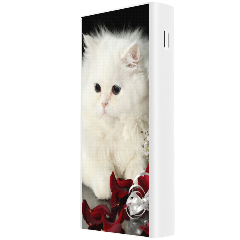 Xiaomi Mi Power Bank 3 20000mAh (PLM18ZM) Белый с принтом Fluffy Cat