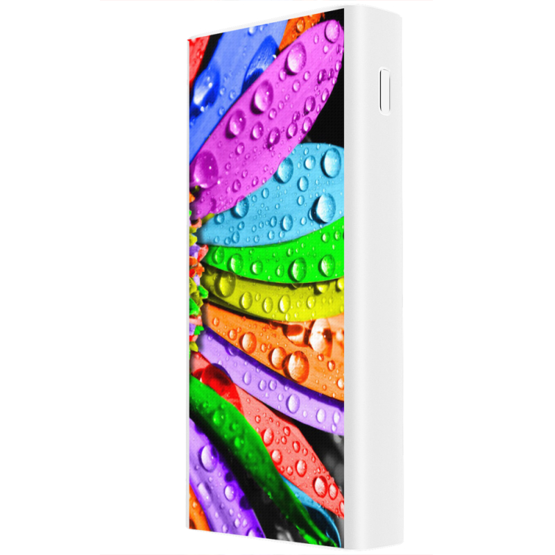 Xiaomi Mi Power Bank 3 20000mAh (PLM18ZM) Белый с принтом Colored Chamomile