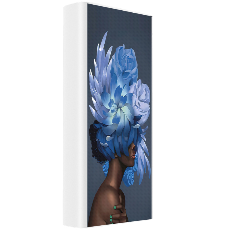 Xiaomi Mi Power Bank 3 20000mAh (PLM18ZM) Белый с принтом Exquisite Blue Flowers