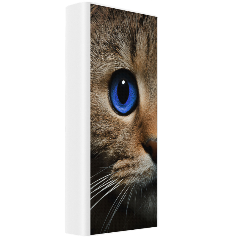 Xiaomi Mi Power Bank 3 20000mAh (PLM18ZM) Белый с принтом Cat's Eye