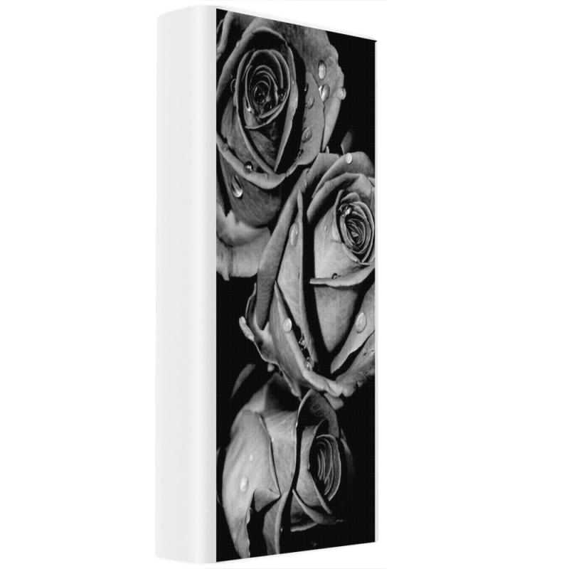 Xiaomi Mi Power Bank 3 20000mAh (PLM18ZM) Белый с принтом Black and White Roses