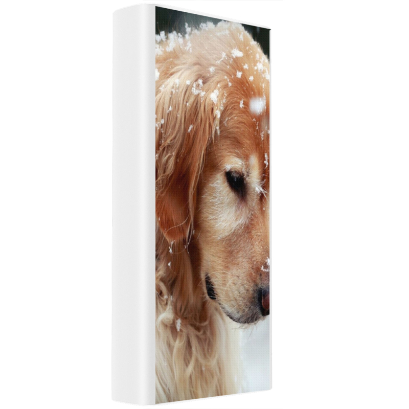 Xiaomi Mi Power Bank 3 20000mAh (PLM18ZM) Белый с принтом Golden Retriever