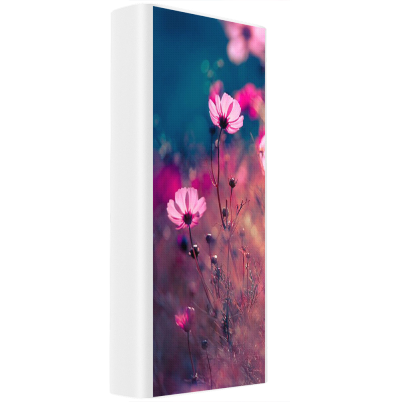 Xiaomi Mi Power Bank 3 20000mAh (PLM18ZM) Белый с принтом 