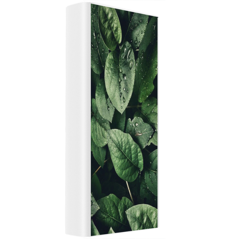 Xiaomi Mi Power Bank 3 20000mAh (PLM18ZM) Белый с принтом 