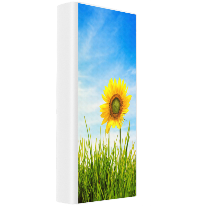 Xiaomi Mi Power Bank 3 20000mAh (PLM18ZM) Белый с принтом Sunflower Heaven