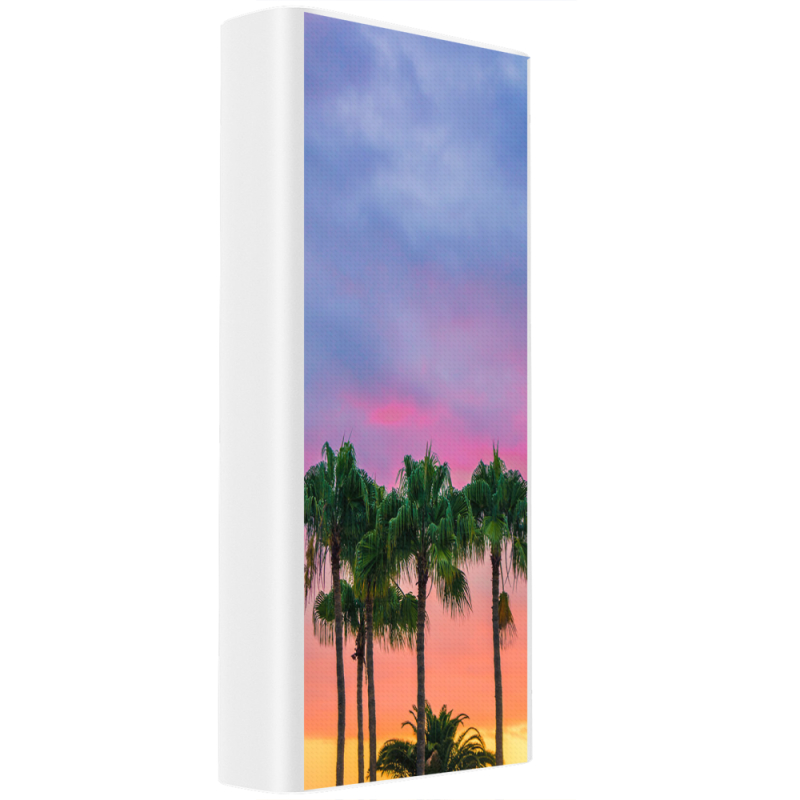 Xiaomi Mi Power Bank 3 20000mAh (PLM18ZM) Белый с принтом 