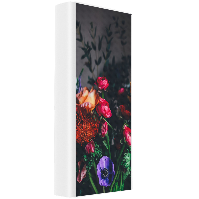 Xiaomi Mi Power Bank 3 20000mAh (PLM18ZM) Белый с принтом 
