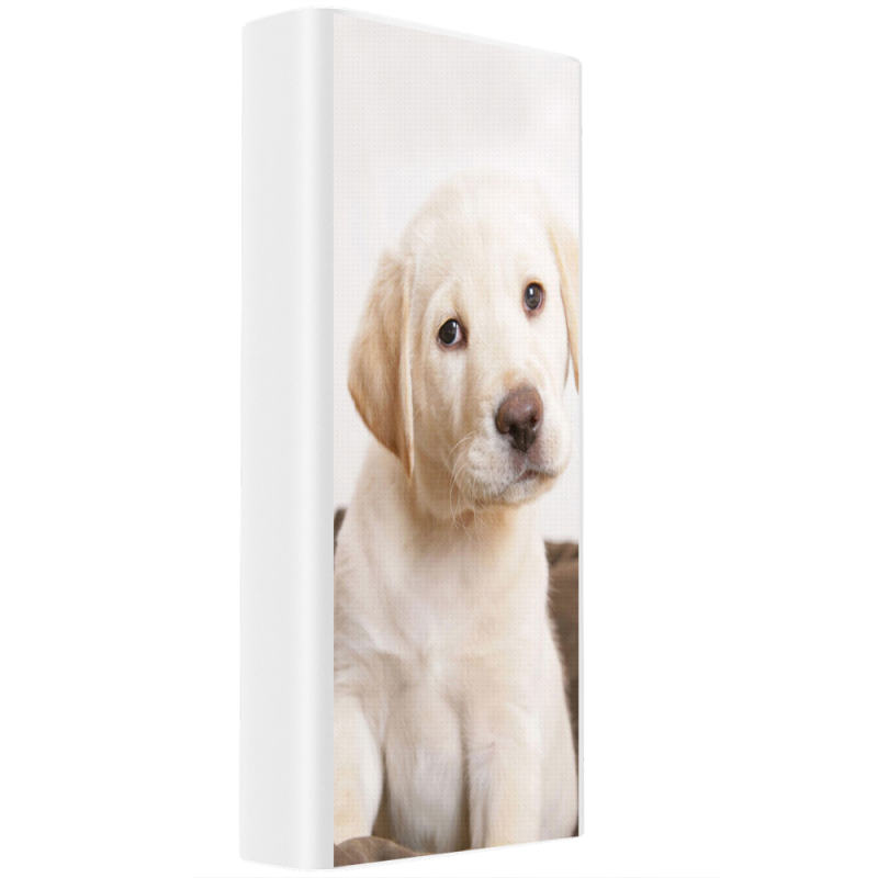 Xiaomi Mi Power Bank 3 20000mAh (PLM18ZM) Белый с принтом Puppy Labrador