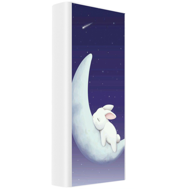 Xiaomi Mi Power Bank 3 20000mAh (PLM18ZM) Белый с принтом Moon Bunny