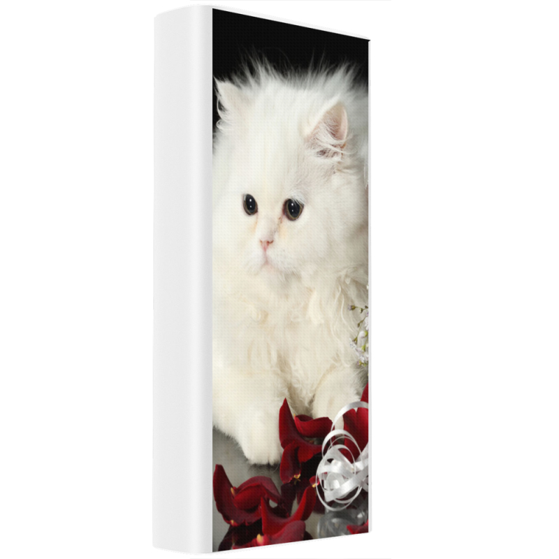 Xiaomi Mi Power Bank 3 20000mAh (PLM18ZM) Белый с принтом Fluffy Cat