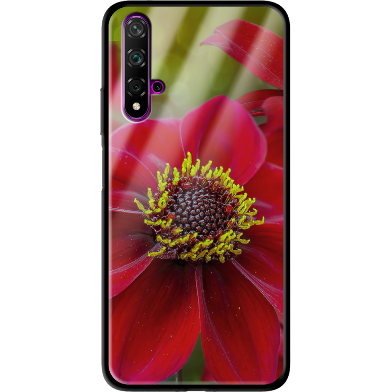 Защитный чехол BoxFace Glossy Panel Huawei Nova 5T 